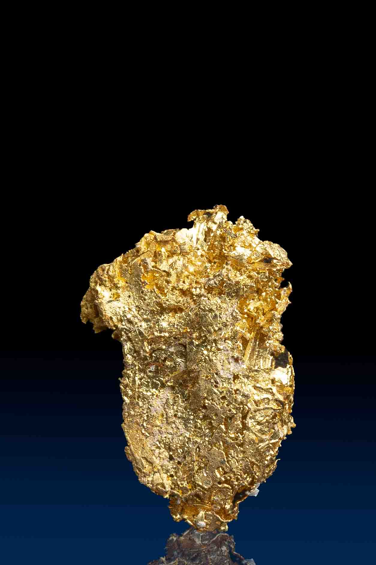 (image for) Beautiful Crystallized Gold Specimen - Farncomb Hill, CO